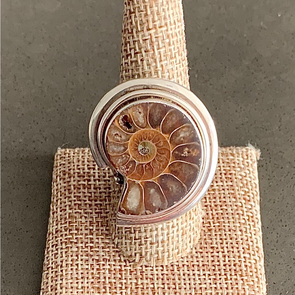 Ammonite and Sterling Silver Ring